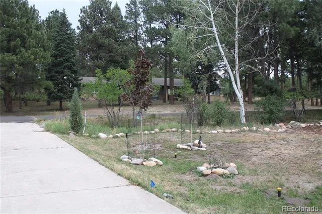 1350 Woodmoor Drive Monument, CO 80132
