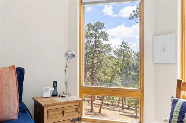 302 Cottonwood Drive Evergreen, CO 80439