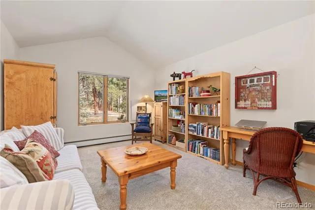 302 Cottonwood Drive Evergreen, CO 80439