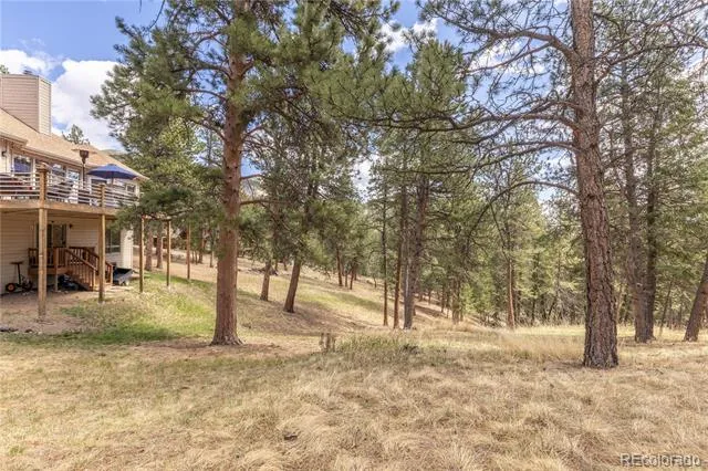 302 Cottonwood Drive Evergreen, CO 80439