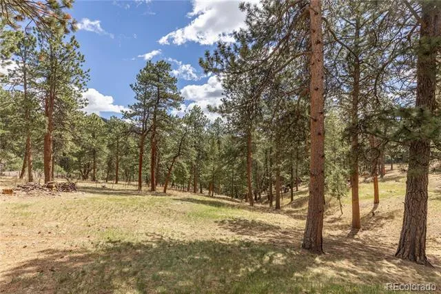 302 Cottonwood Drive Evergreen, CO 80439
