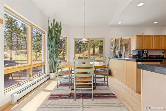 302 Cottonwood Drive Evergreen, CO 80439