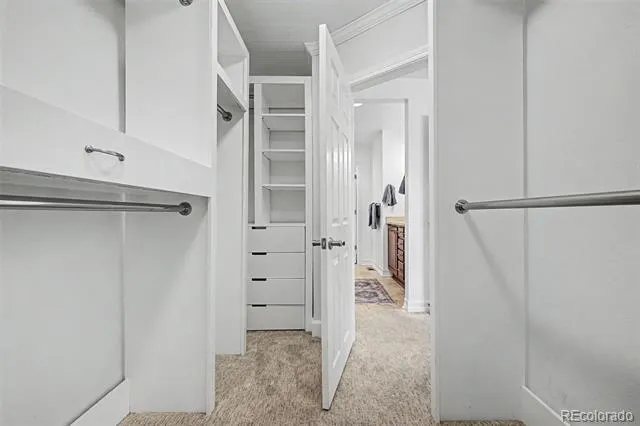 3164 Geneva Court Denver, CO 80238