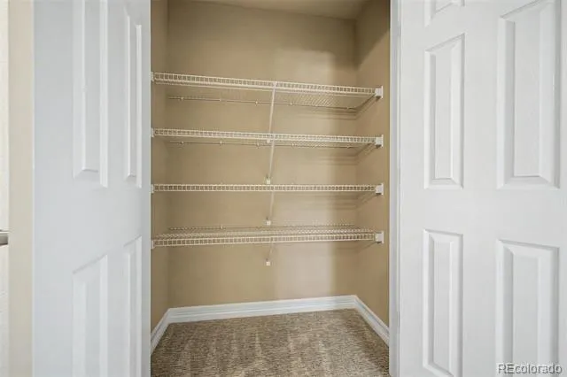 3164 Geneva Court Denver, CO 80238