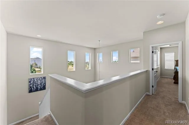 3851 Long Rifle Drive Castle Rock, CO 80108