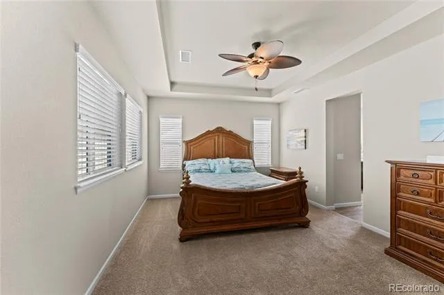 3851 Long Rifle Drive Castle Rock, CO 80108