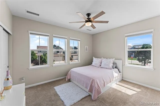 3851 Long Rifle Drive Castle Rock, CO 80108