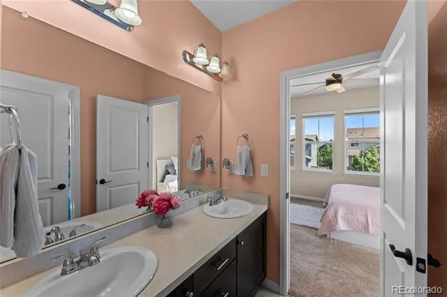 3851 Long Rifle Drive Castle Rock, CO 80108