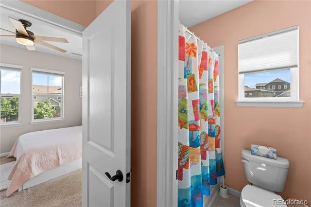 3851 Long Rifle Drive Castle Rock, CO 80108