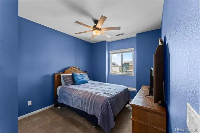 3851 Long Rifle Drive Castle Rock, CO 80108