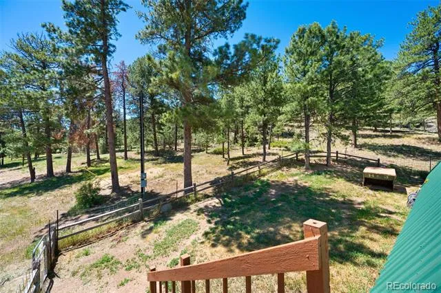 5463 High Park Road Florissant, CO 80816