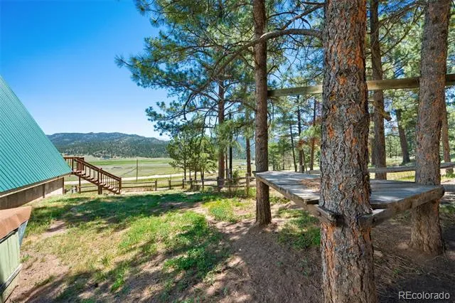5463 High Park Road Florissant, CO 80816