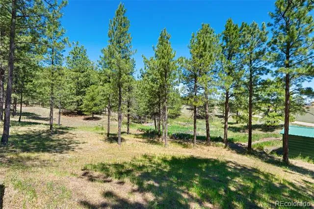 5463 High Park Road Florissant, CO 80816