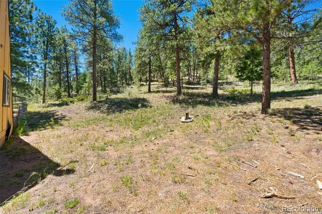 5463 High Park Road Florissant, CO 80816