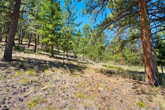 5463 High Park Road Florissant, CO 80816