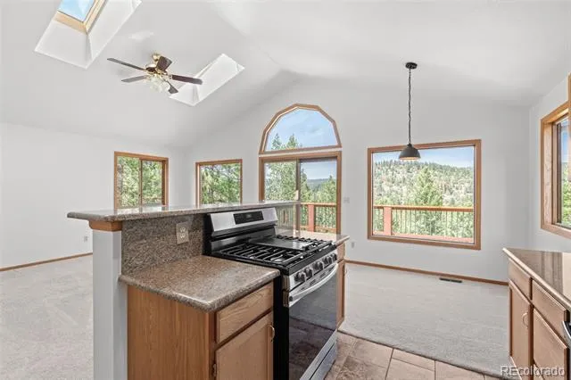 13596 Ponderosa Drive Conifer, CO 80433