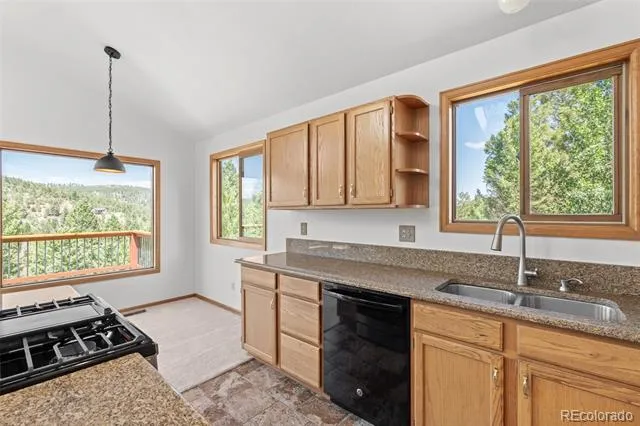 13596 Ponderosa Drive Conifer, CO 80433