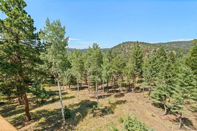13596 Ponderosa Drive Conifer, CO 80433