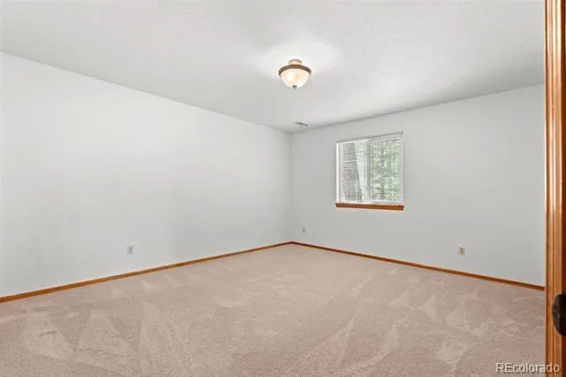 13596 Ponderosa Drive Conifer, CO 80433