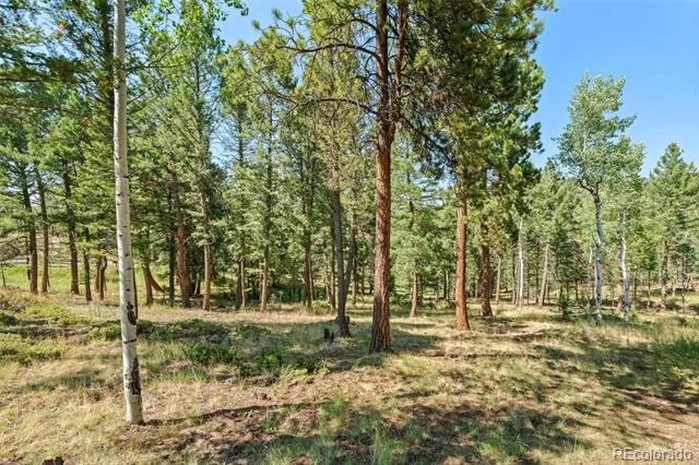 13596 Ponderosa Drive Conifer, CO 80433