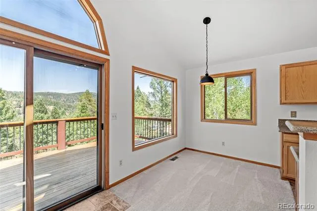 13596 Ponderosa Drive Conifer, CO 80433