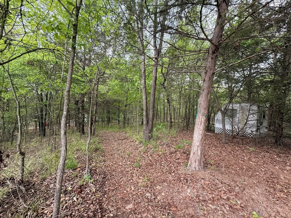 6435 FM 17 #Lots 68-69 Yantis, TX 75497