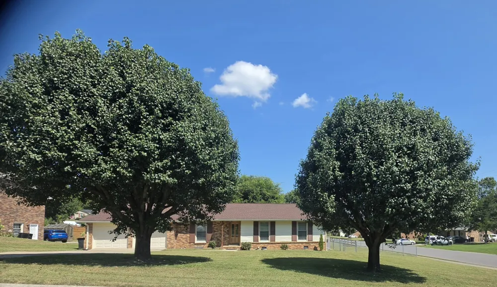 100 Shady View Dr Hendersonville, TN 37075