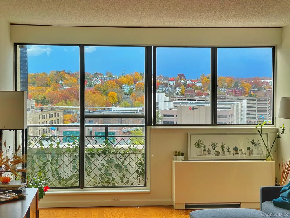 10 cottage place #10G White Plains, NY 10601