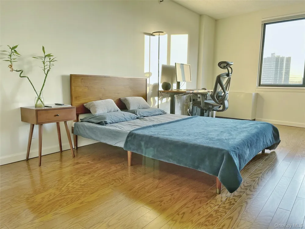 10 cottage place #10G White Plains, NY 10601