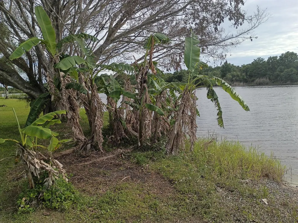 20020 NW 80TH DRIVE Okeechobee, FL 34972