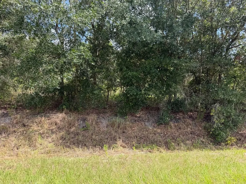 21971 NW 260TH STREET Okeechobee, FL 34972