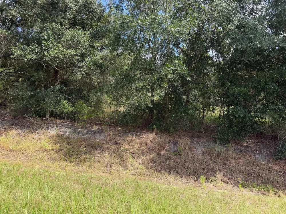 21971 NW 260TH STREET Okeechobee, FL 34972