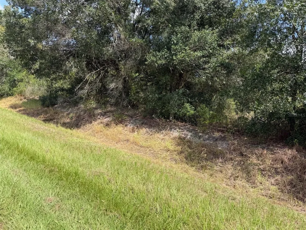 21971 NW 260TH STREET Okeechobee, FL 34972