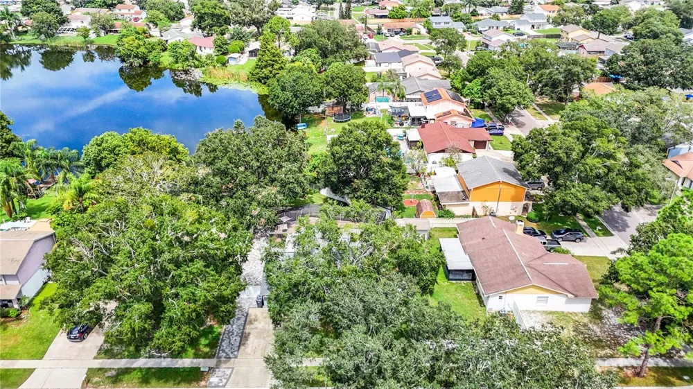 12438 CARDIFF DRIVE Tampa, FL 33625