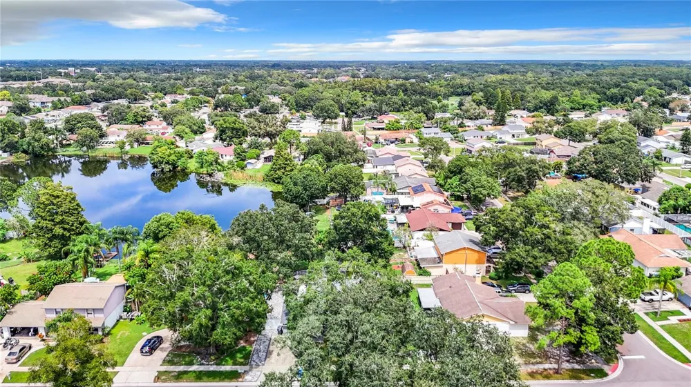 12438 CARDIFF DRIVE Tampa, FL 33625