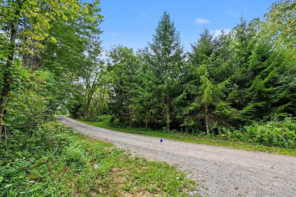 3195 E Pillar Drive Webster Township, MI 48189
