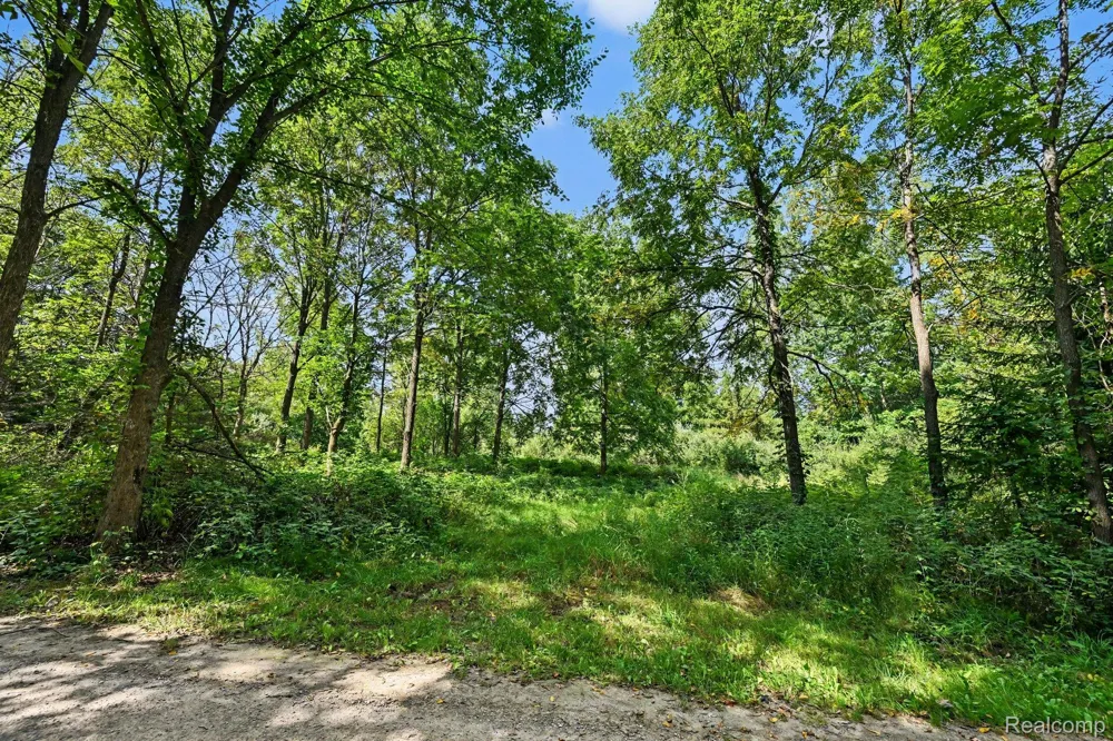 3195 E Pillar Drive Webster Township, MI 48189