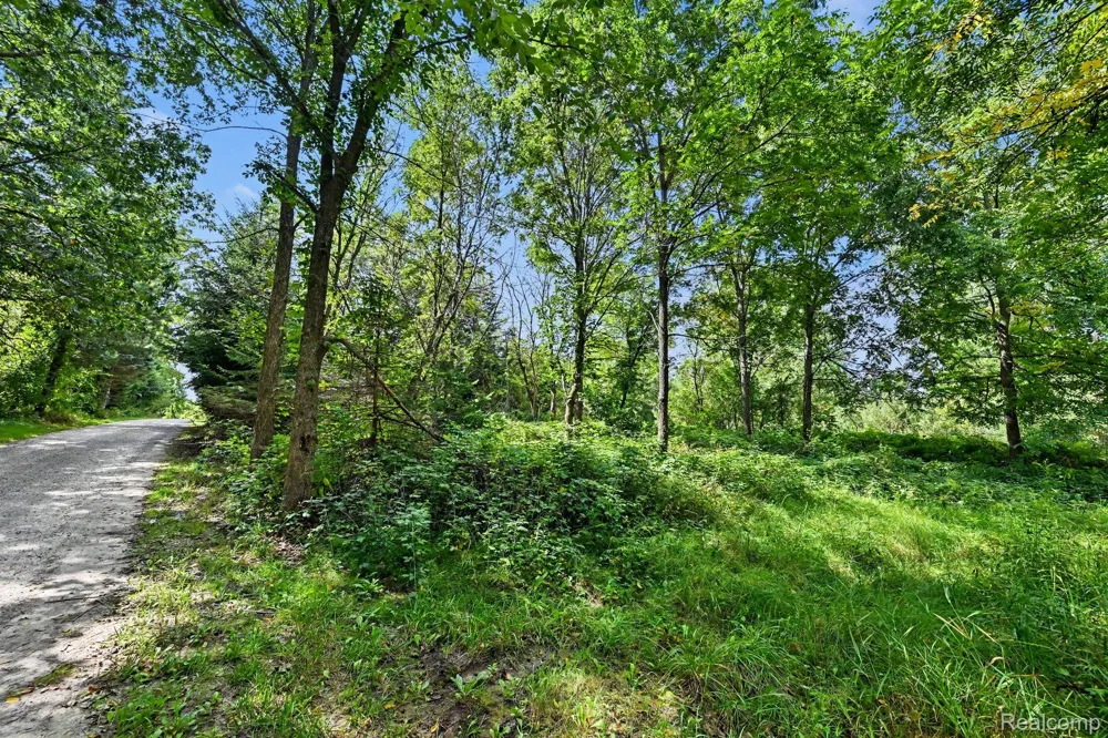 3195 E Pillar Drive Webster Township, MI 48189
