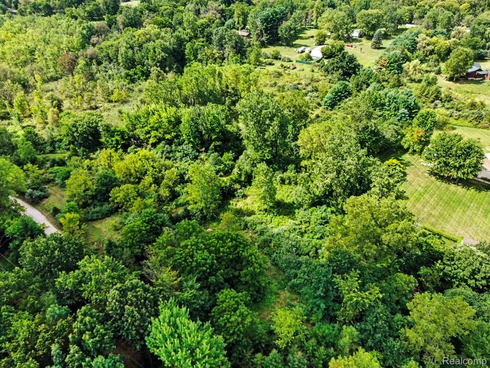 3195 E Pillar Drive Webster Township, MI 48189