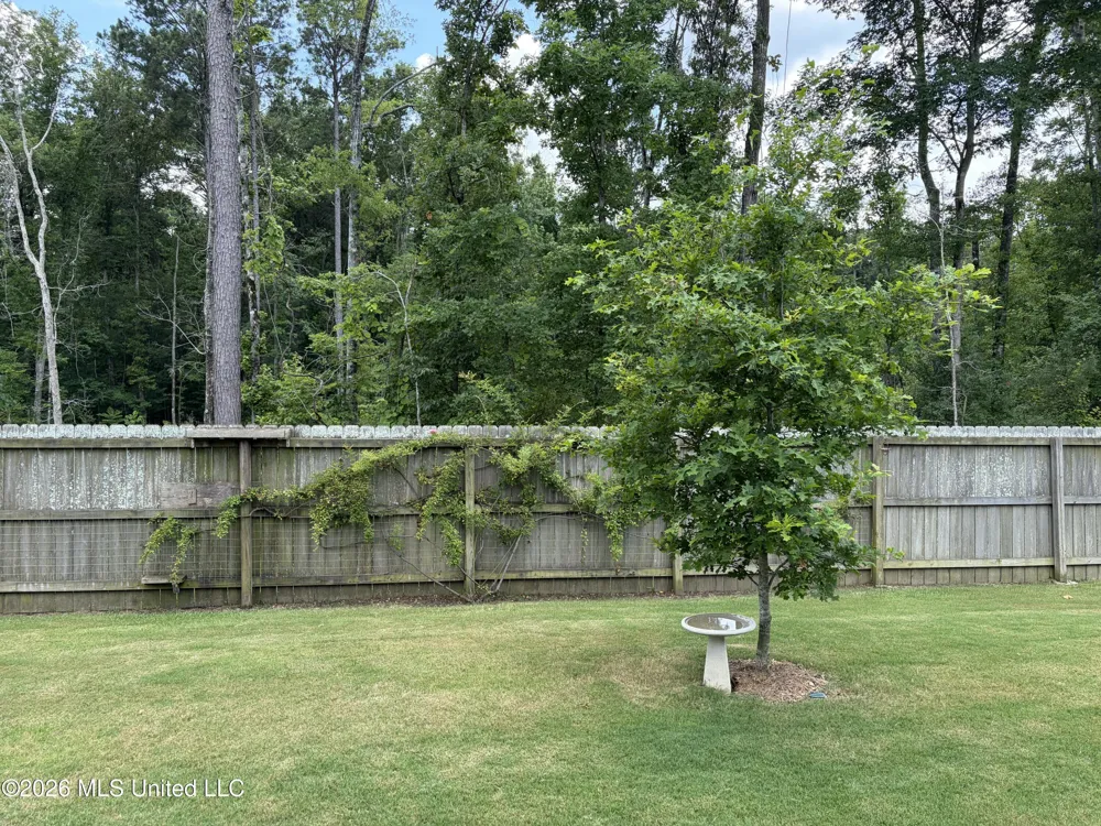 168 Grace Drive Flowood, MS 39232