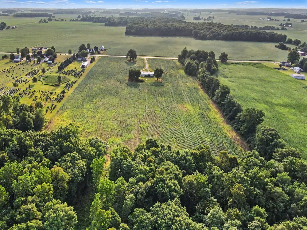 11581 Mulliken Road Mulliken, MI 48861