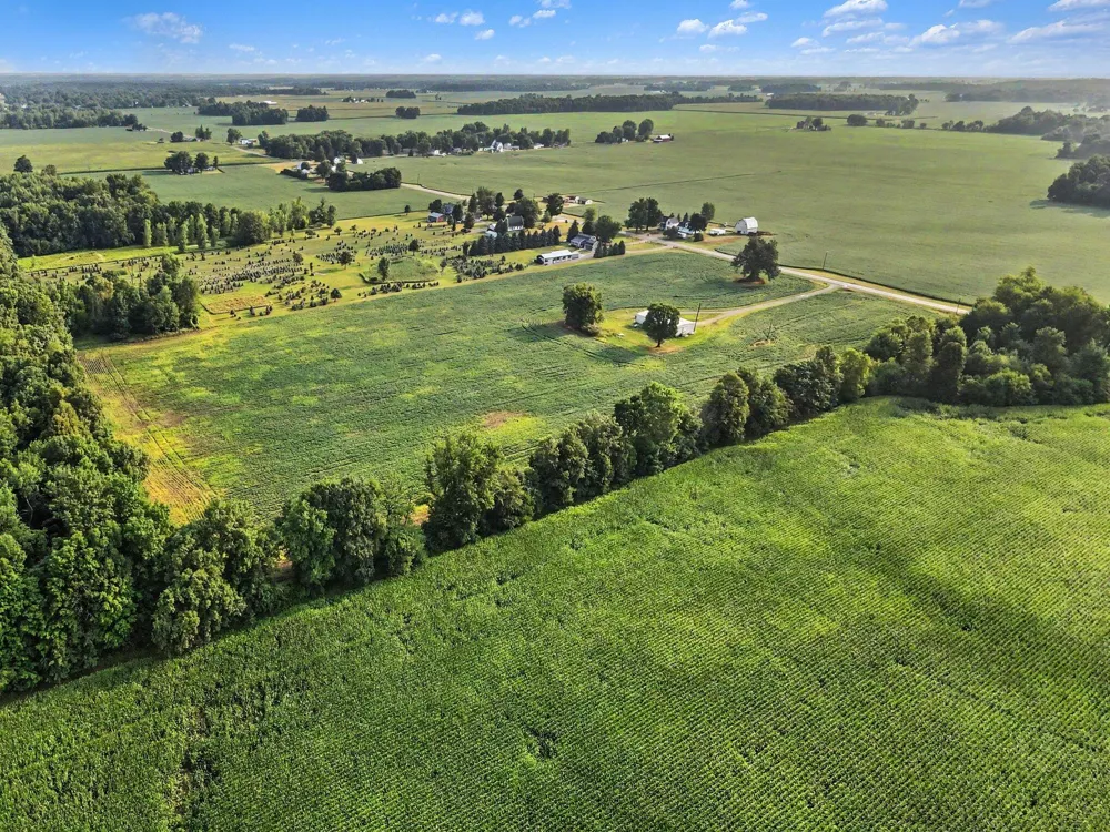 11581 Mulliken Road Mulliken, MI 48861