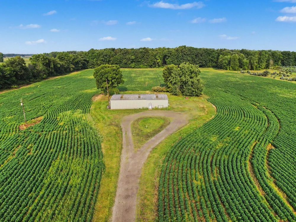 11581 Mulliken Road Mulliken, MI 48861