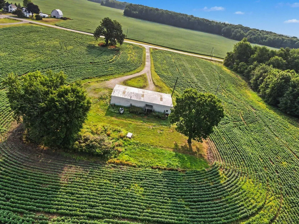 11581 Mulliken Road Mulliken, MI 48861