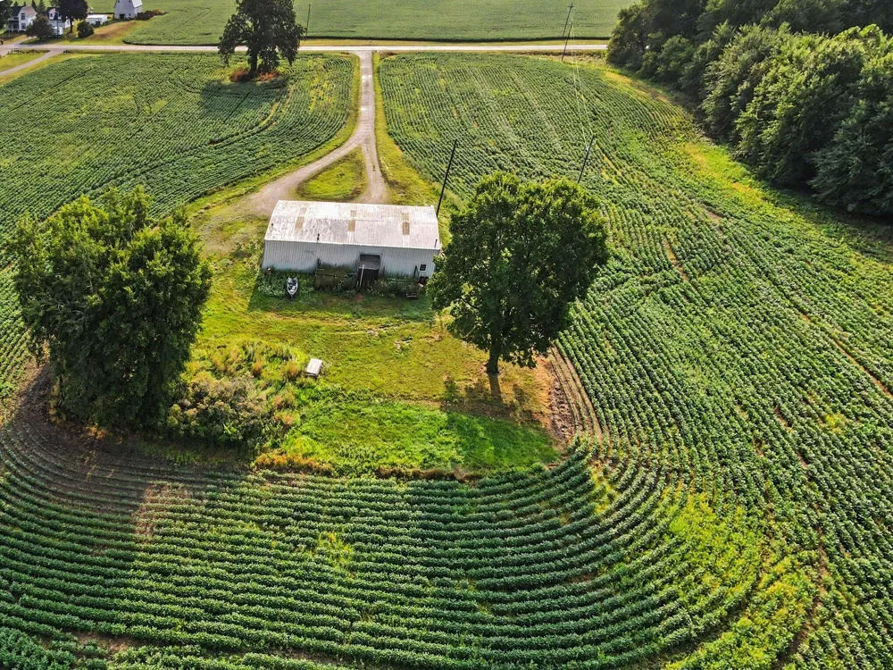 11581 Mulliken Road Mulliken, MI 48861