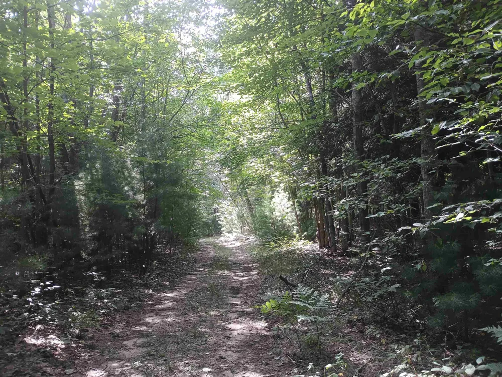 Wallaker Road Joyfield Township, MI 49617