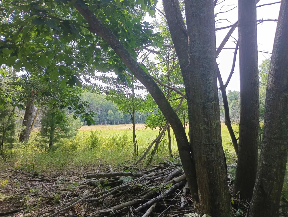 Wallaker Road Joyfield Township, MI 49617