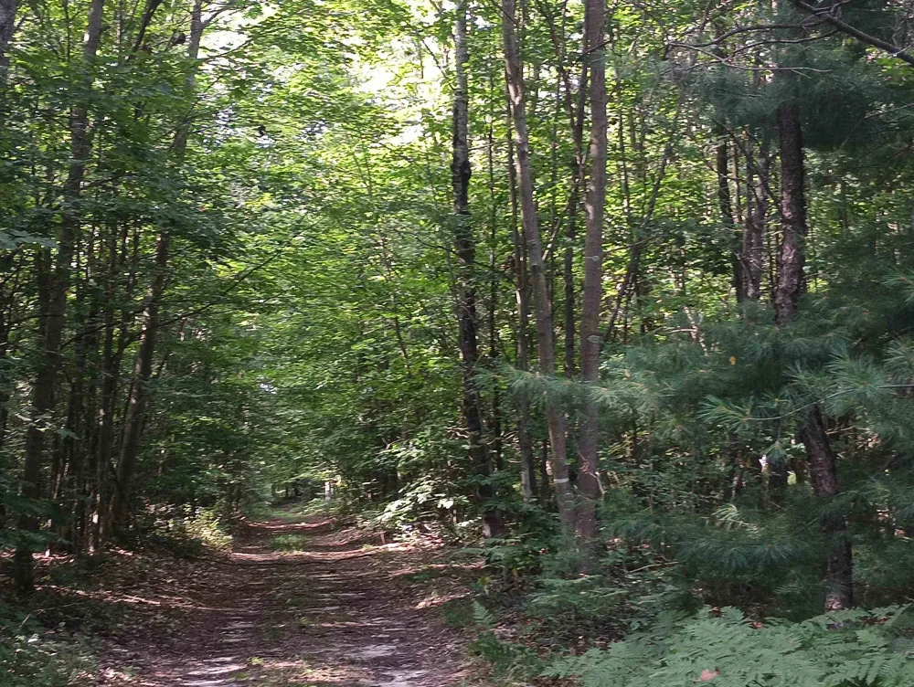 Wallaker Road Joyfield Township, MI 49617