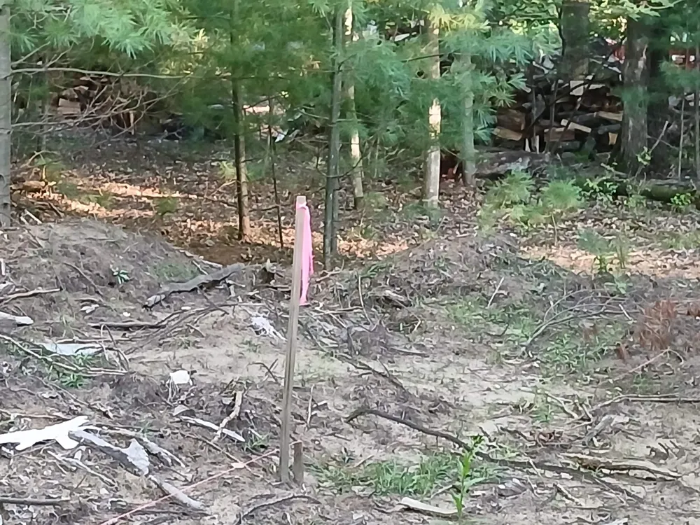 Onondaga Trail Churchill Township, MI 48661