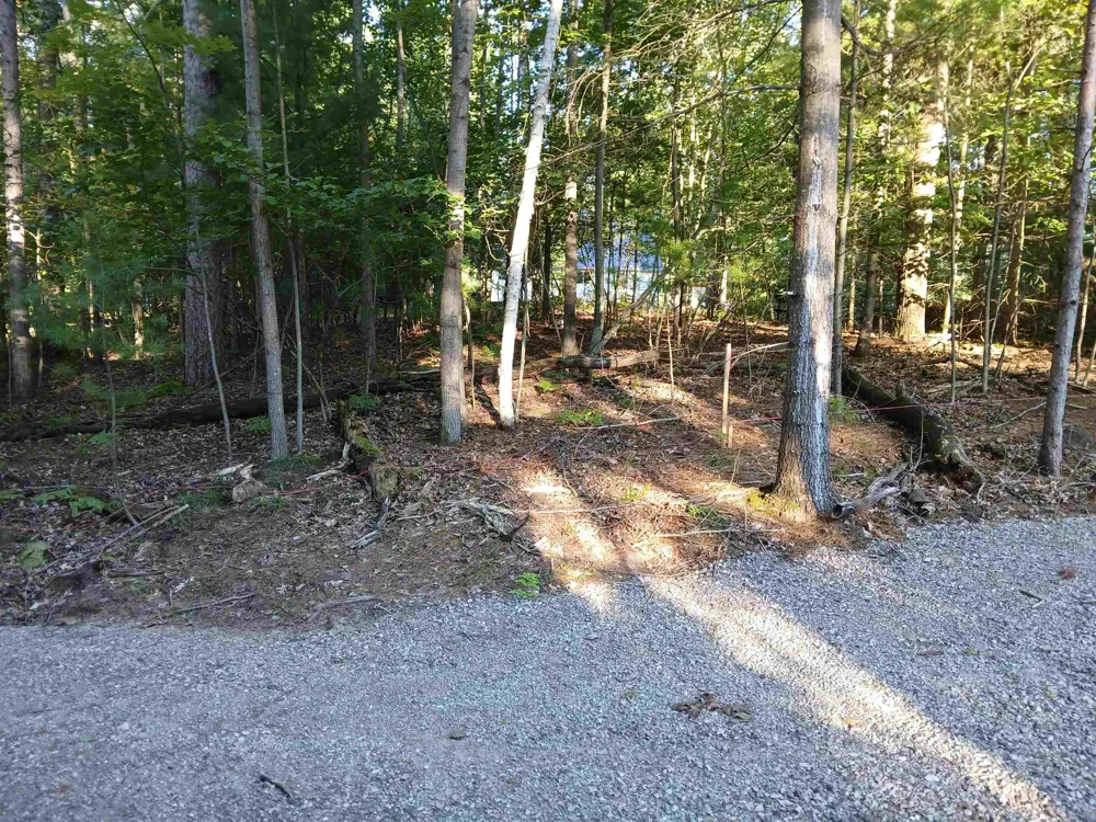 Onondaga Trail Churchill Township, MI 48661